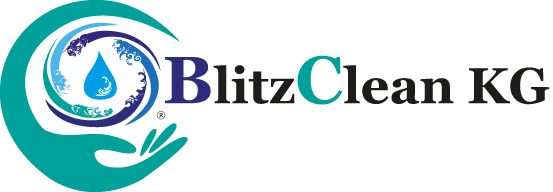 Blitz Clean Shop
